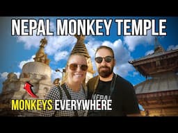 Monkey infested Temple in Kathmandu. Nepal - here's what we found