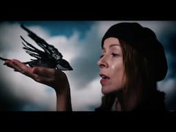 Swallow, Dear Swallow from Wendy McNeill's album First There Were Feathers