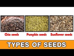 Top 5 Seeds in Life, Seed Benefits and uses I Pumkin, Sunflower, Chia, Aliv, Flax, Watermelon seeds