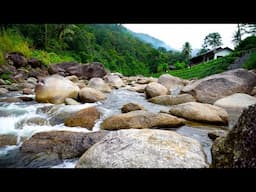 Mountain Stream in a Quiet Village | Gentle Waterfall & Stream Sounds for Sleep, Relaxation, Study.