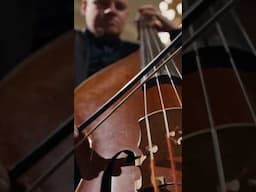 Місія неможлива: Фінальна розплата. Флешмоб LUMOS Orchestra на Центральному вокзалі Києва