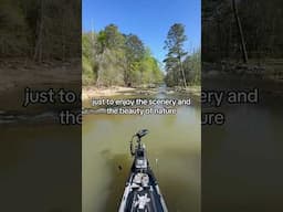 Do you ever take a break from fishing to enjoy nature? #bassfishing #fishing #kayakbassfishing