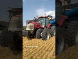 CASE IH 305 MAGNUM Tractor #bigtractorpower