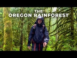 Solo Backpacking Mount Hood National Forest | Salmon River Trail, Oregon