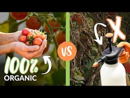 The Benefits of Organic Gardening Promoting a Balanced Ecosystem