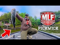 EPIC Shad Spawn Bite on Pickwick!! | MLF Invitational Tournament