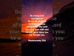 🇮🇱 Deuteronomy 31:6 ✝️ #ThankYouYeshua #ThankYouYHWH #ThankYouHolySpirit #Jesus #Yeshua #YHWH #God
