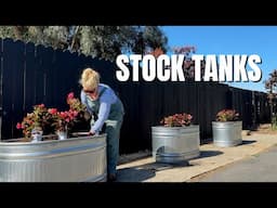 Planting Up the Stock Tanks with Beautiful Blooms!