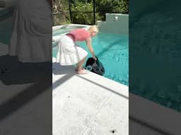 DIVE Into SUMMER With This AMAZING POOL SECRET!
