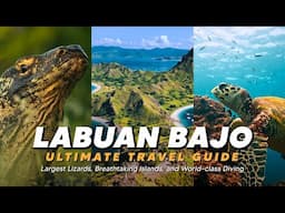 The Ultimate Labuan Bajo Travel Guide — Largest Lizards, Breathtaking Islands, World-class Diving