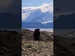 Silent hiking 45 miles in Patagonia