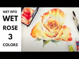 Wet into Wet Technique - Watercolour Rose - Using Primary Colours