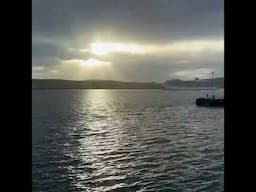 Visiting Shetland by cruise in 2025?