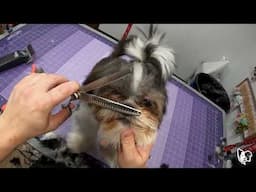 She Drove From Mississippi To Oklahoma For THIS Dog Groom!
