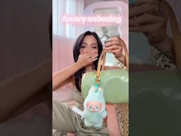 Unboxing new bags that match my Labubus!!