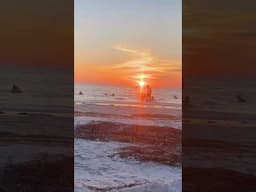 A Beach Day in USA! #minivlog #shorts #desimominpardes #family