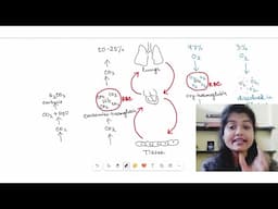 Transport of Oxygen and Carbon dioxide in blood | NCERT | NEET | Breathing and Exchange of Gases
