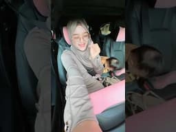 Jangan lupa ya siang ijinjam 13.00 tayang lagu terbaru kami 🥰