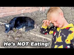 SCARED He Won't Live!!