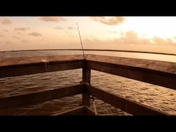 Fishing For Neko, #saltwaterfishing #pierfishing