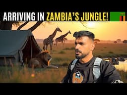First Day of Jungle Life in Zambia: Livingstone to Mfuwe! 🇿🇲