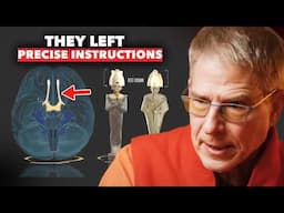 Leading Neuroscientist Shocks World by Proving Reality Emerges from a Hidden Source