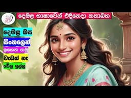 අපි දෙමළ කතා කරමු - මූලික පාඩම්  | Let's Speak Tamil! - Basic to Advanced Lessons" | Punchi Danuma