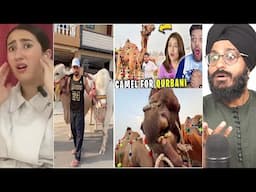 Indian Reaction to Pakistani Famous Tiktokers Qurbani for Eid | Raula Pao