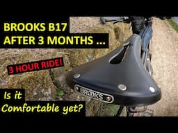Brooks B17 Carved Saddle - Three Months in - Is it Comfortable Yet?