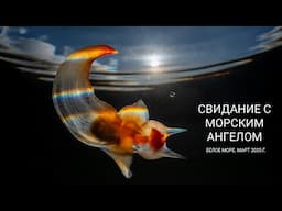 14 февраля 2025 г.
