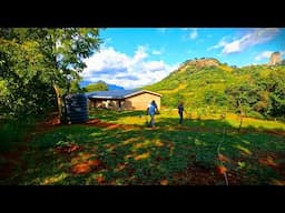 #35 Chickens. More water. Rural homesteading in Zimbabwe