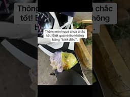 Biết quá nhiều không bằng biết điều!