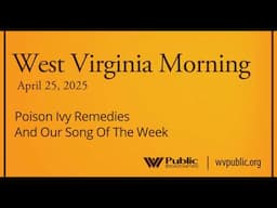 Poison Ivy Remedies And Our Song Of The Week, This West Virginia Morning