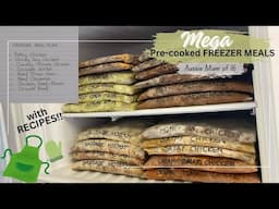 "MEGA”FREEZER MEALS for the Family / Pre-cooked with Recipes!