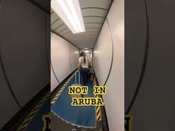 Didn’t Let Passenger DEEBO Me Getting Off The Plane In Aruba #airplane #aruba