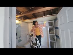 Day 1. Pulling down drop celling, insulation, cleaning, picking up the yard, etc.