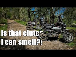 Honda Monkey Abuse Off Road! Taffy Dakar 2025