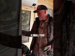How much food do you need for mature bucks? #whitetail #deerhunting #deer #donhiggins #WHTL