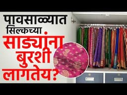 पावसाळ्यात सिल्कच्या साड्यांना बुरशी लागतेय? Silk Saree Care Tips | Silk Saree Care in Monsoon | KP2