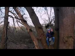 Climb a Tree