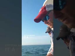 Simple Sea Bass fishing with the heavy minnow jig #hogylures #hogy