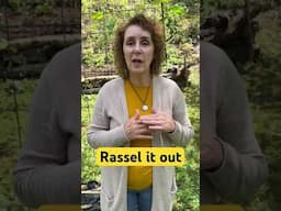 Rassel = wrestle