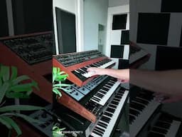 Prophet or OBERHEIM? #synth #synthesizer #musicproducer