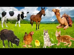 Compilation of Cute Animals : Cat, Cow, Dog, Elephant, Pig, Chicken, Duck - Animal Sounds