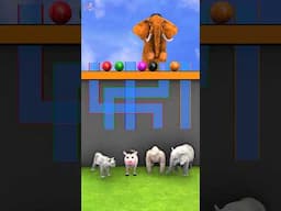 New Maze Challenge: Choose The Right Color with Elephant Gorilla  Lion Cow | Inside out 2