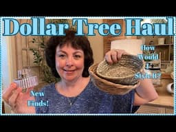 DOLLAR TREE HAUL | WHAT DID I FIND?