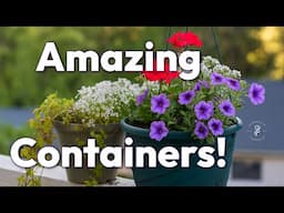 Planting Summer Blooms in Containers! Old Soil? No Problem