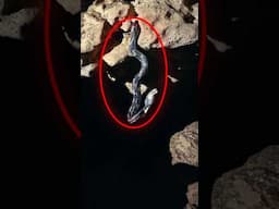 I Found “The Cave of Hanging Snakes” on Google maps
