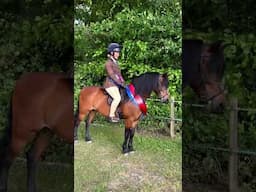 Rolo has qualified for the working Hunter pony class at Royal International!! 🎉