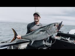 Back steaks and Tuna Fillets - SURF & TURF NZ
